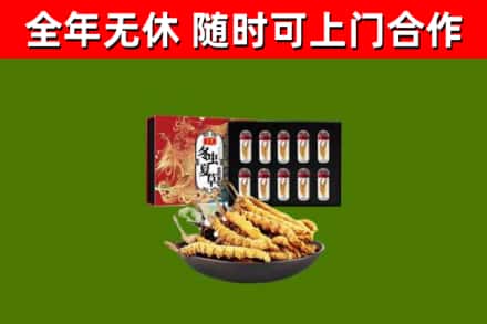 爱辉回收冬虫夏草价格