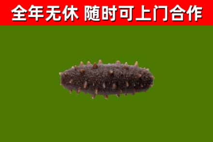 爱辉烟酒回收干海参.jpg